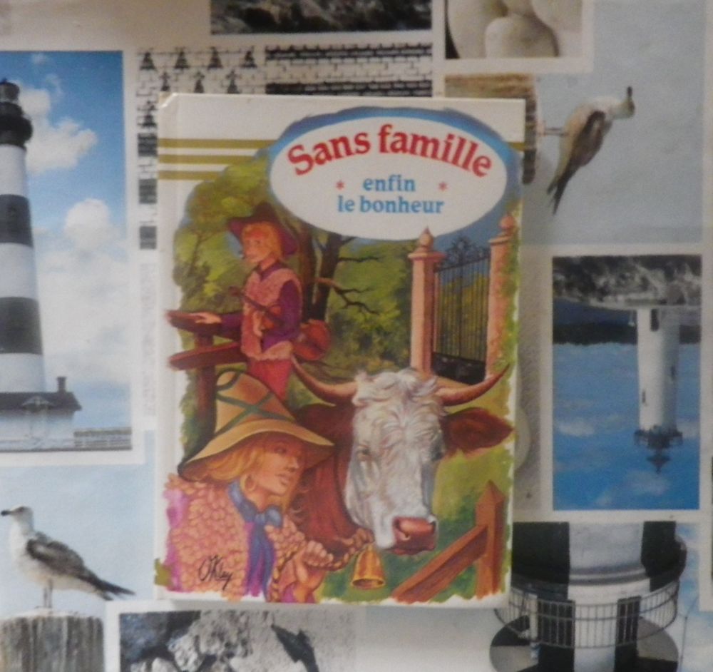 SANS FAMILLE T3 ENFIN LE BONHEUR d'apr&egrave;s H. MALOT Ed. Hemma Livres et BD