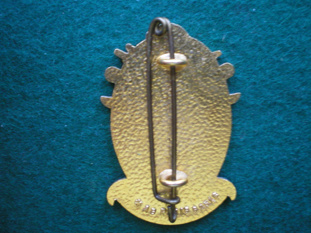 Insigne de Sant&eacute; - C.R.S.S.A Centre Recherche Service Sant&eacute;. 
