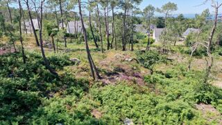  Terrain à vendre 1226 m² Crozon