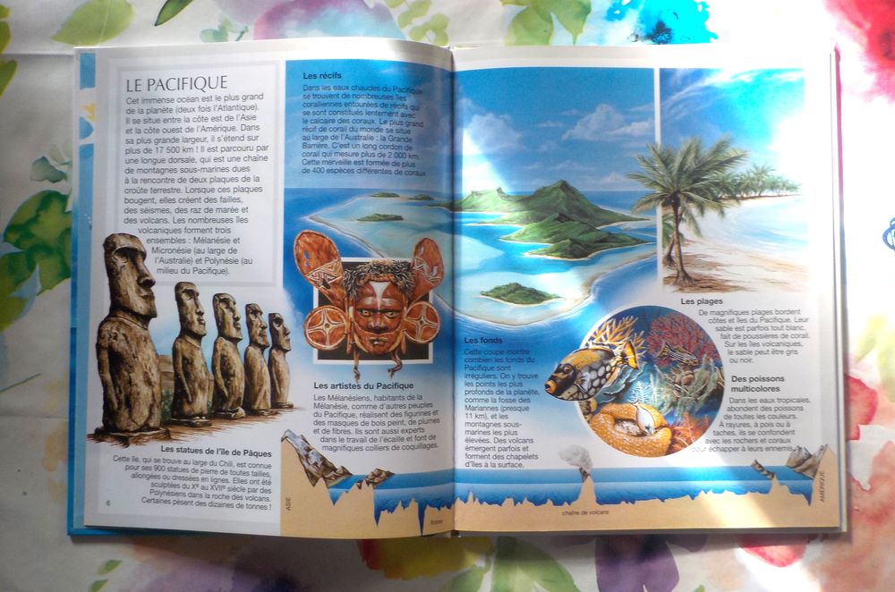 LES OCEANS La Grande Imagerie Ed. Fleurus Enfants Livres et BD