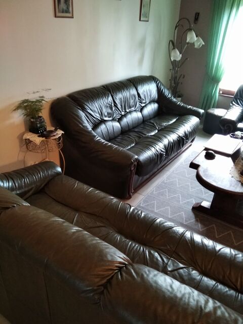 salon en cuir vert foncé 0 Hasnon (59)