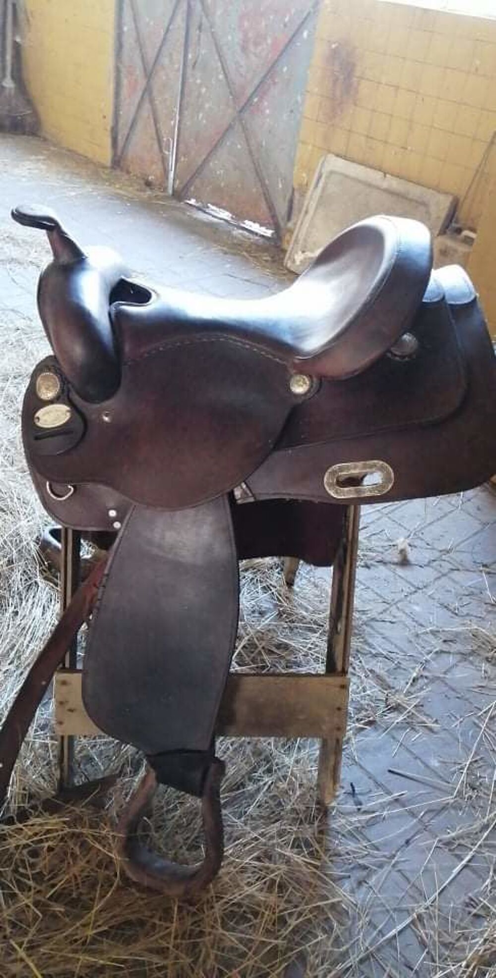 Selle western Sports