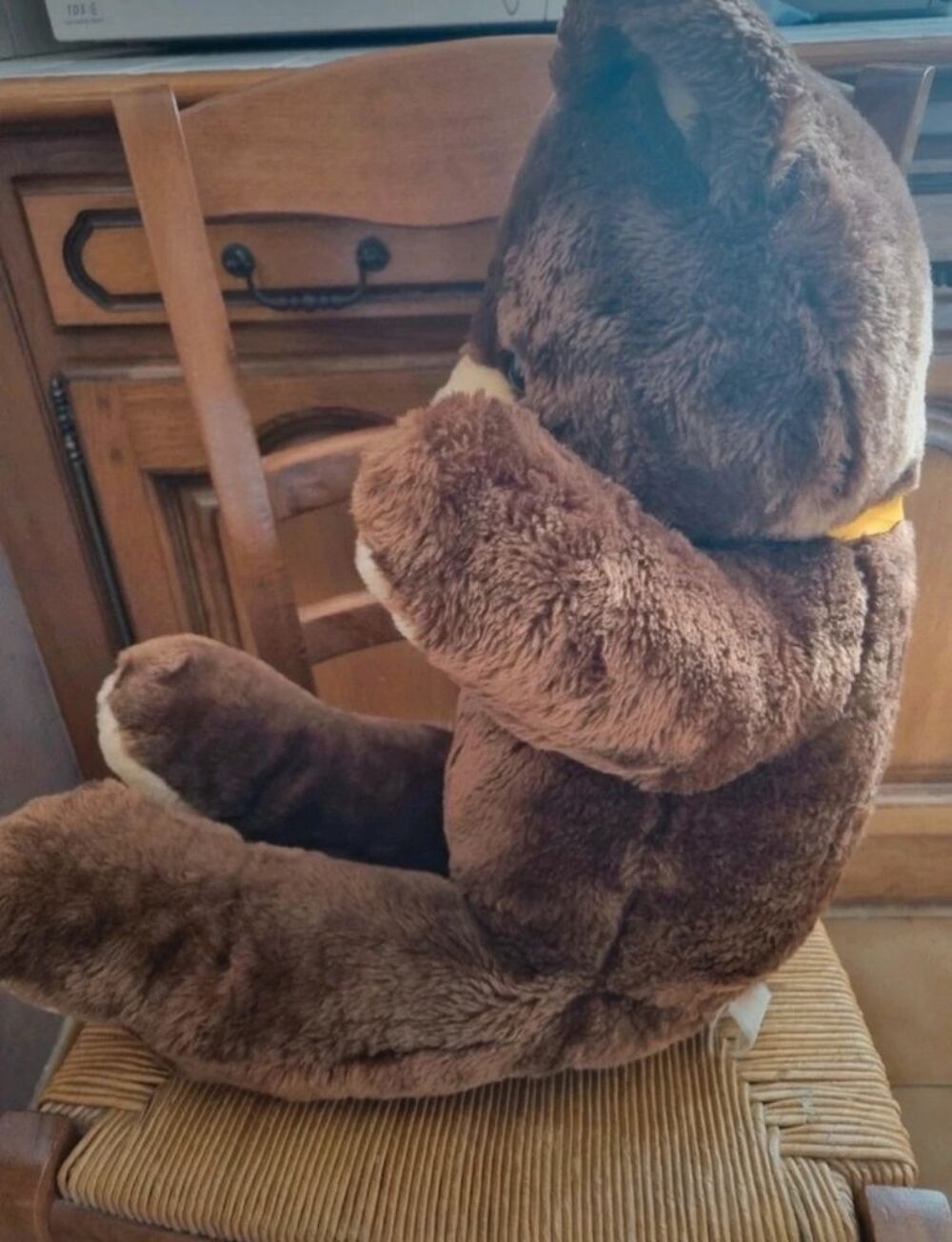 Ours en peluche Jeux / jouets