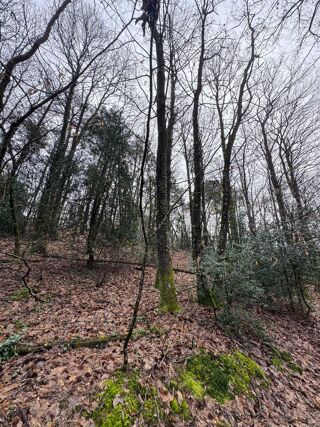  Terrain � vendre 12060 m�