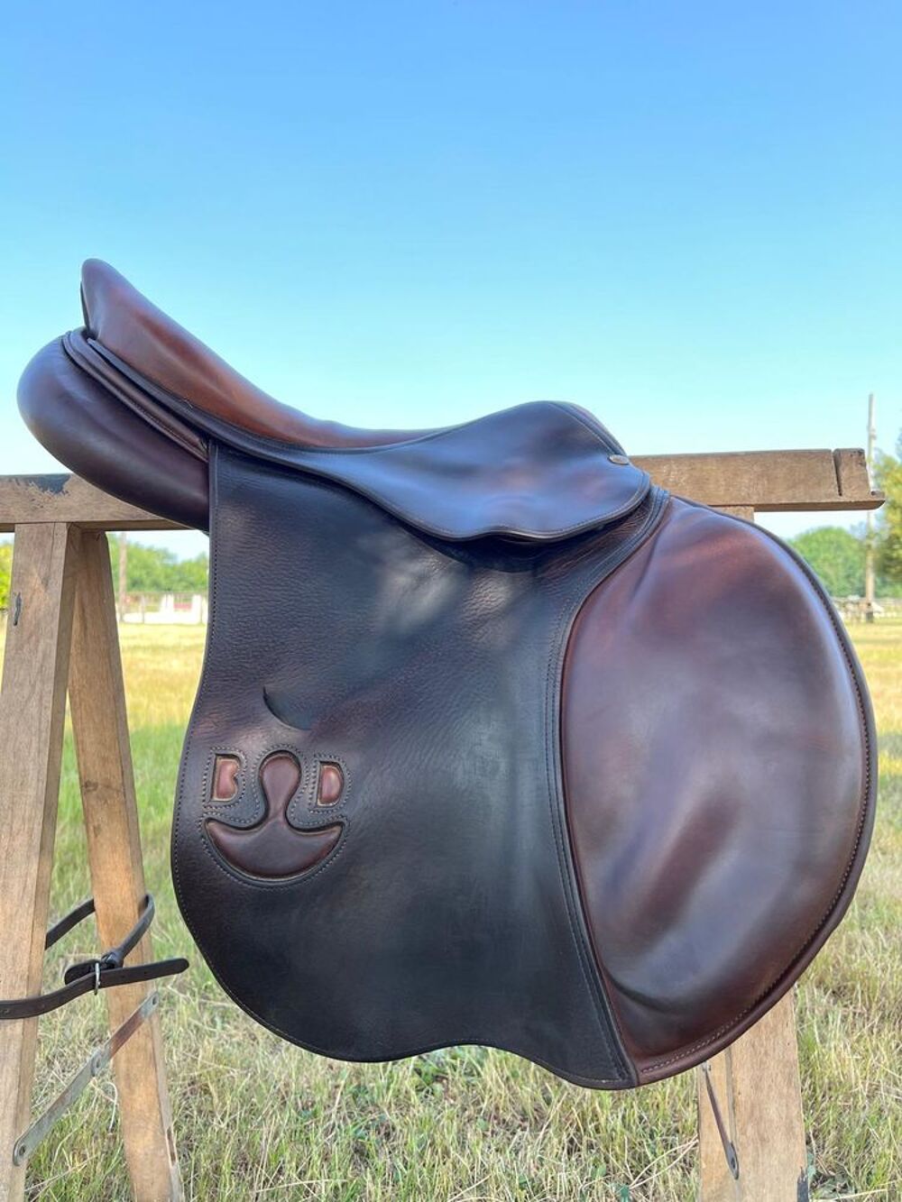Selle BRUNO DELGRANGE Partition Si&egrave;ge 17,5 Sports