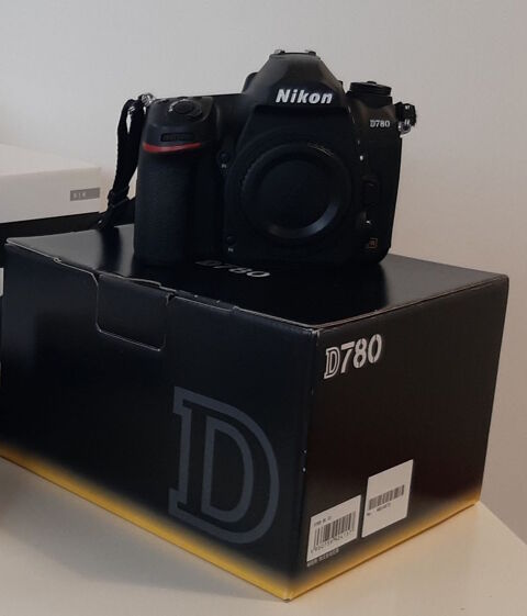 reflex NIKON D780 + t�l�convertisseur SIGMA 1150 Luc� (28)