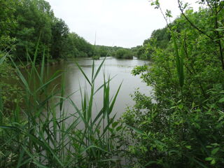  Propri�t�/ch�teau � vendre 3 pi�ces 130000 m�