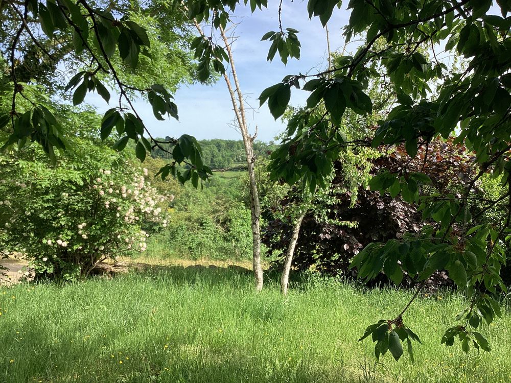 Vente Maison Petite maison de campagne dans son jus région Avallon Talcy