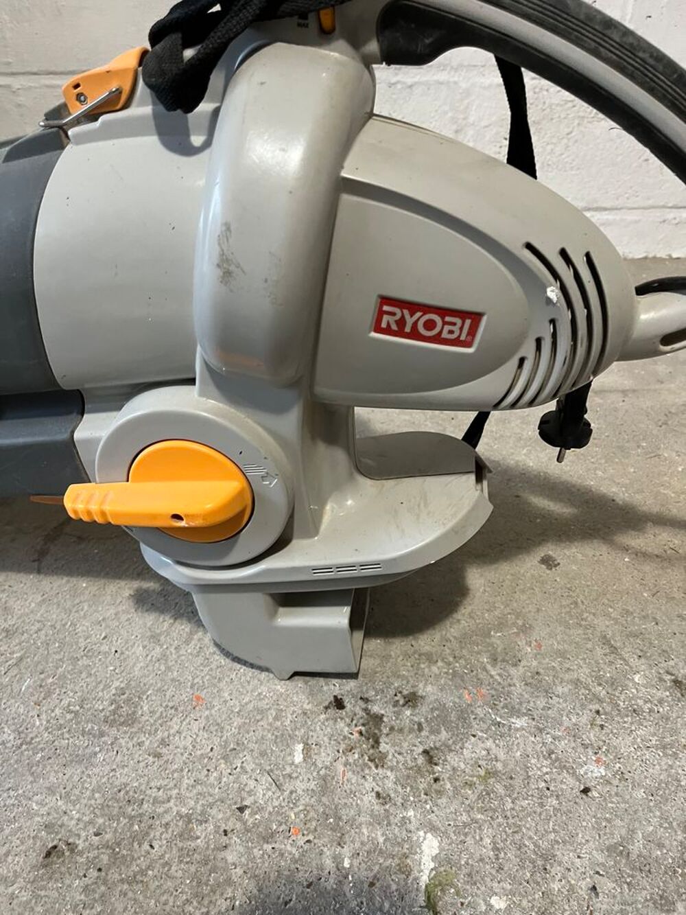 Souffleur Ryobi Jardin