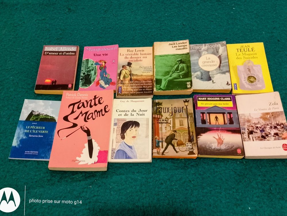 Livres, romans, divers, vendus en lots de 5, au choix Livres et BD