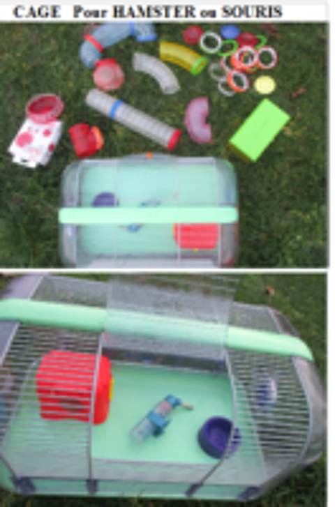   cages pour petit rongeur 
