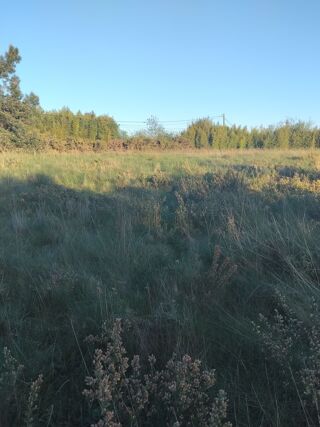 Terrain � vendre 6750 m� Soubran
