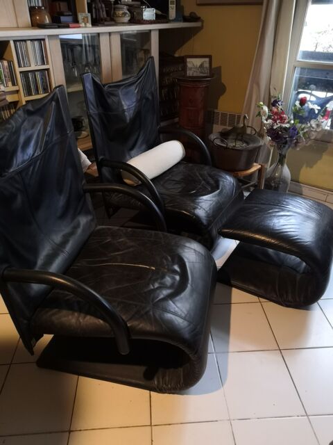 fauteuils Ligne Roset 0 Paris 5 (75)