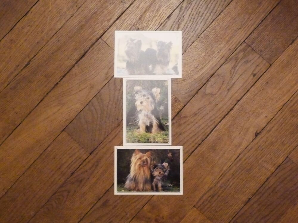 8 Cartes Postales Animaux et Paysages Mer- Neuf 