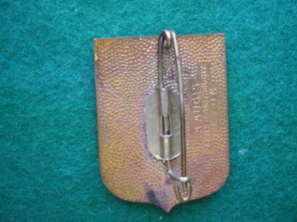 Insigne de Sant&eacute; - Service de Sant&eacute; Dauphin&eacute; S.H.G. 