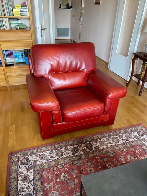 Fauteuil cuir 60 Angers (49)