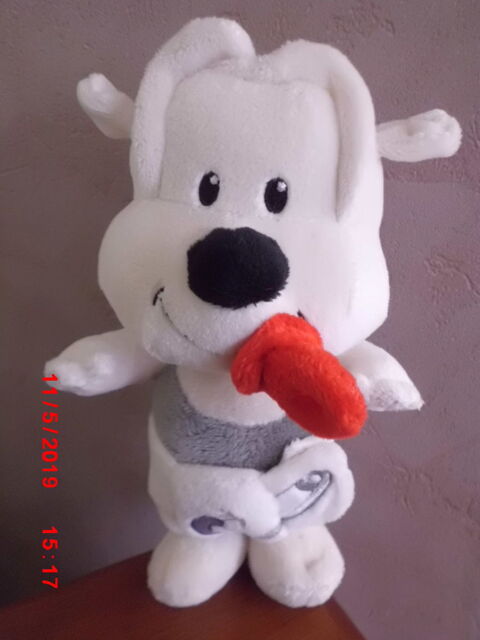 BEBE CHIEN STUDIO 100 16 Oignies (62)