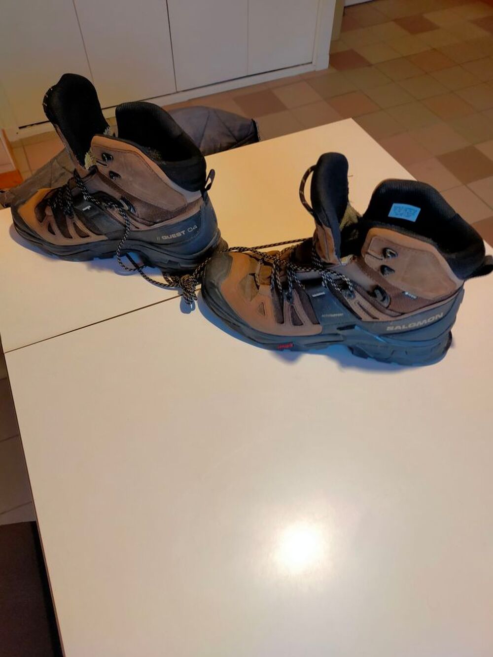 Chaussures de marche Chaussures