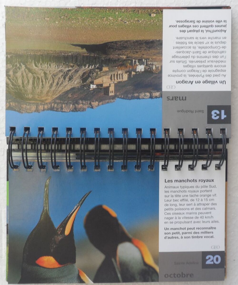 25 ans autour du monde 365 photos G&Eacute;O Fiches reli&eacute;es prot&eacute;g&eacute; Bricolage