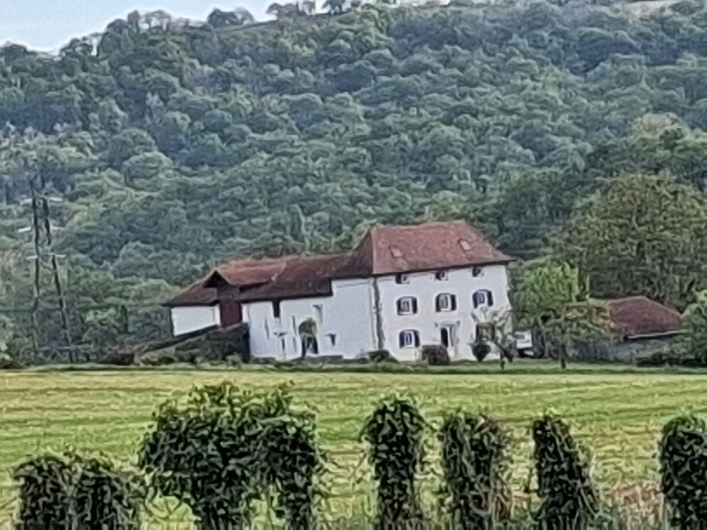 Maison 283m2 Domezain-Berraute