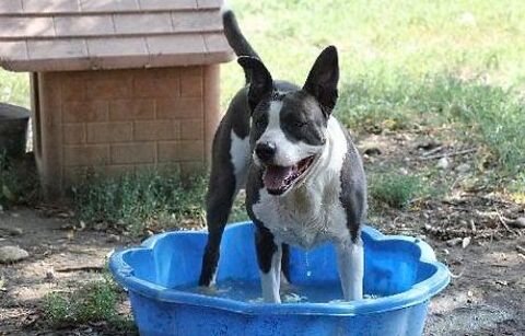 Scrapy 50 26700 Pierrelatte