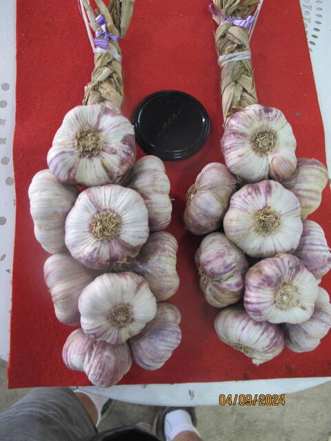 AIL violet 1 choix en tresses de 1 et 2 kg 13.8 Lambesc (13)