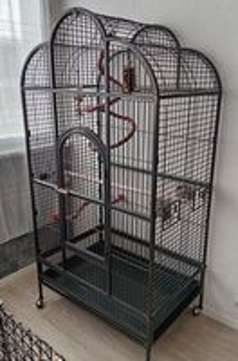   Cage Perroquets  