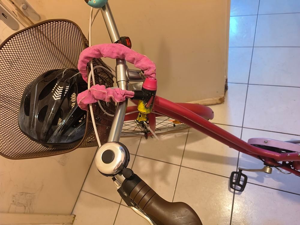 V&eacute;lo urbain rose avec accessoires de transport Vlos