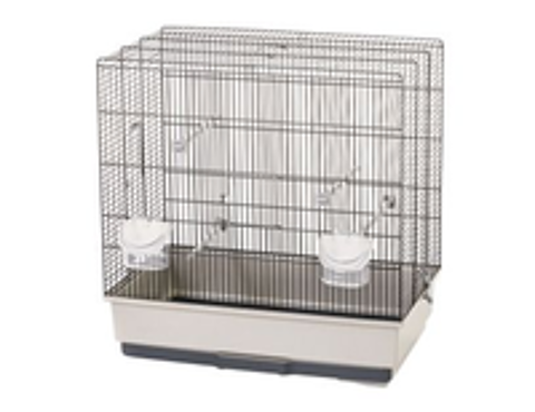   Cages oiseaux 