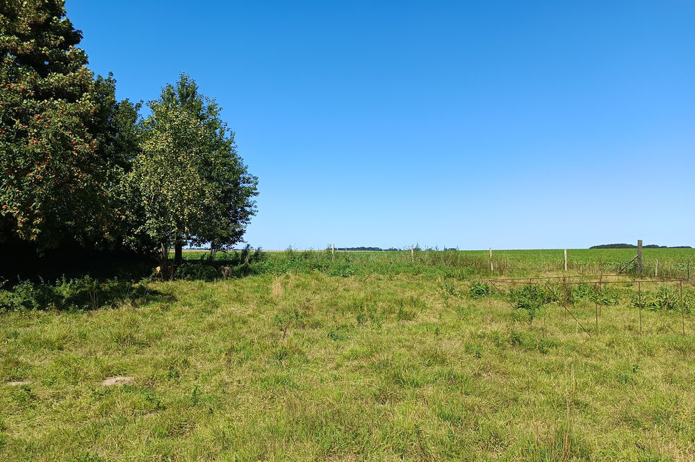 Vente Terrain TERRAIN DE LOISIR DE 884 m2 SECTEUR CANY BARVILLE Gerponville