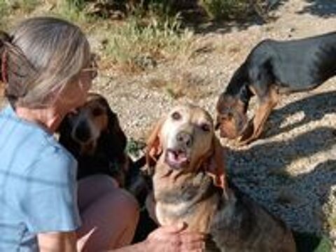   SOS Tommy 6 ans de refuge! 