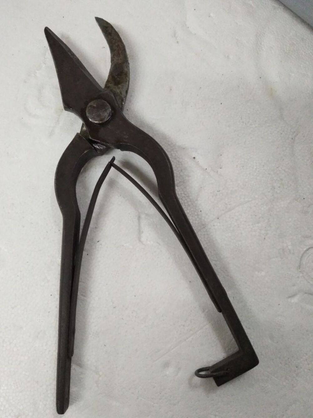 Cisaille coupe branches Bricolage