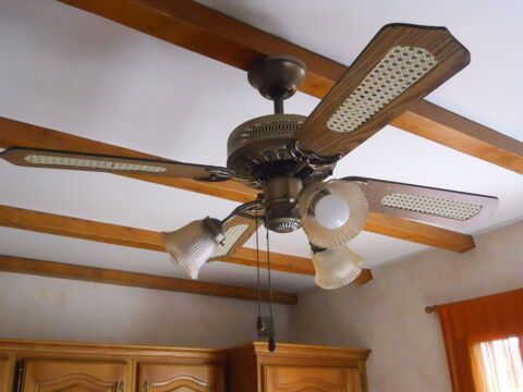 Ventilateur de plafond rversible 45 Ermont (95)