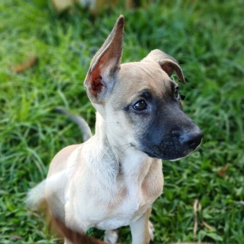 ✨️ DRACO ✨️ 290 75010 Paris