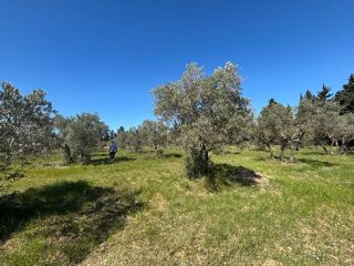  Terrain à vendre 2880 m² Maussane-les-alpilles