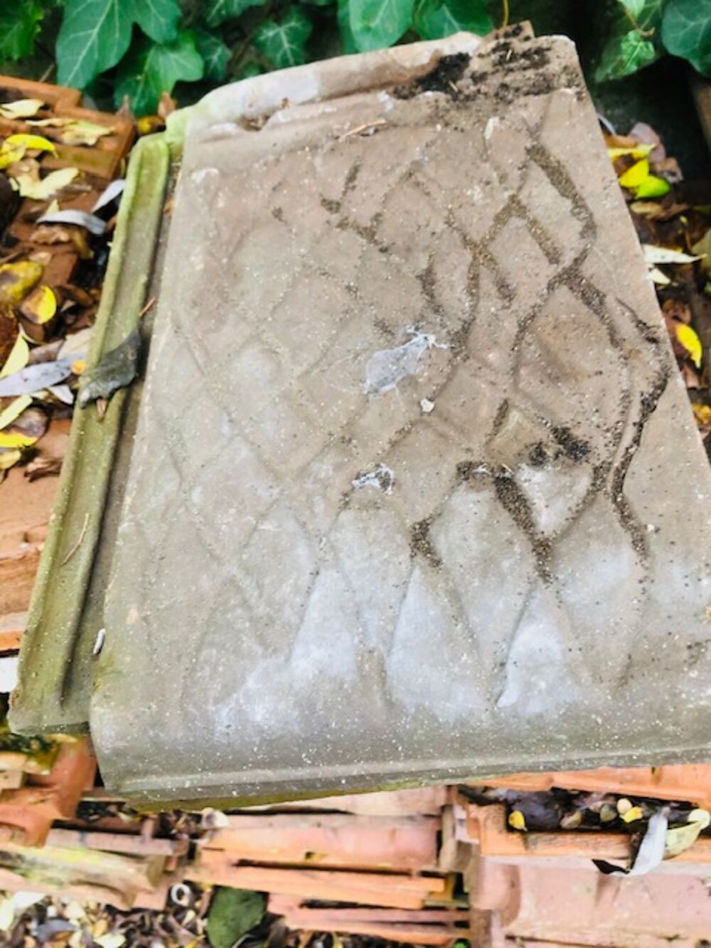  TUILES MECANIQUES
Jardin