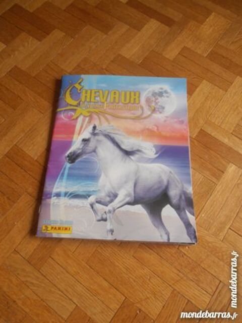 Album chevaux 1 (76) 10 Tours (37)