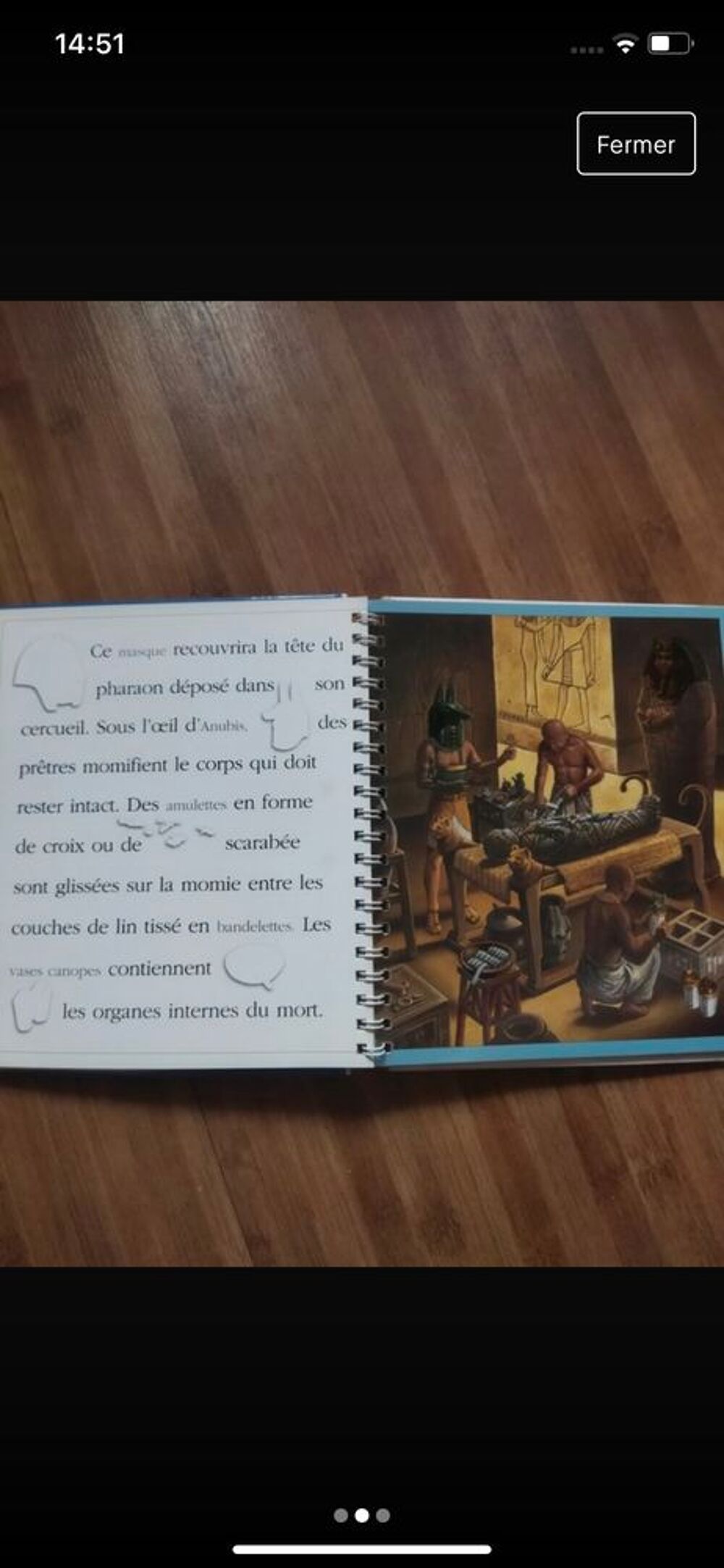 livre r&eacute;bus &laquo;&nbsp;la vie au temps des &Eacute;gyptiens&nbsp;&raquo; Livres et BD