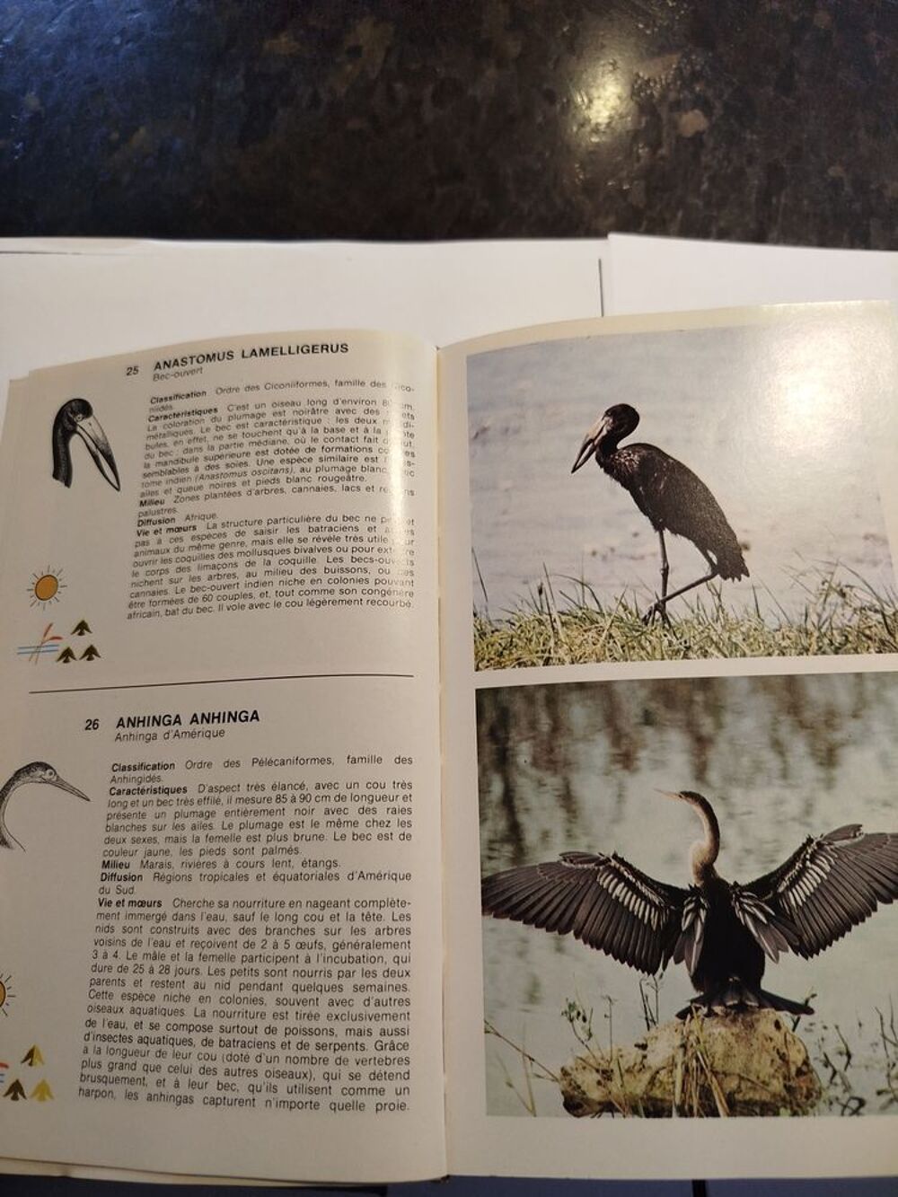 LES OISEAUX Livres et BD