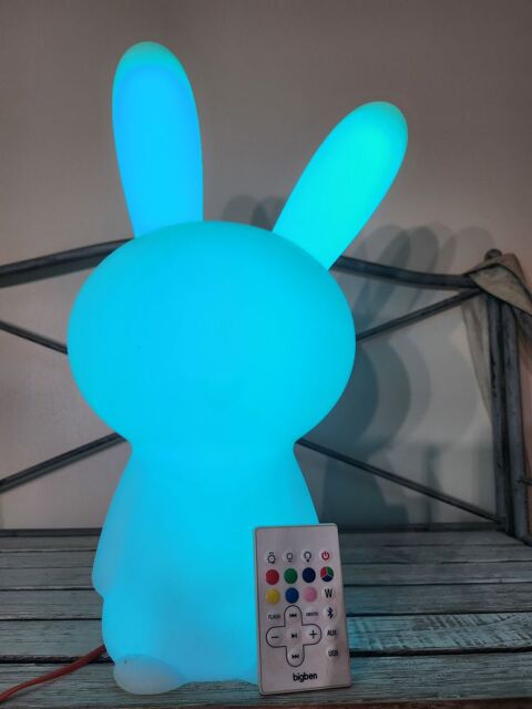 Enceinte lapin cr�tin 30 Caromb (84)