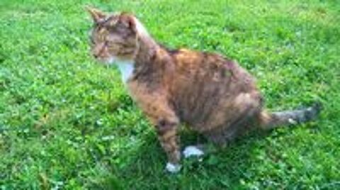   La belle Marinette attend sa famille 