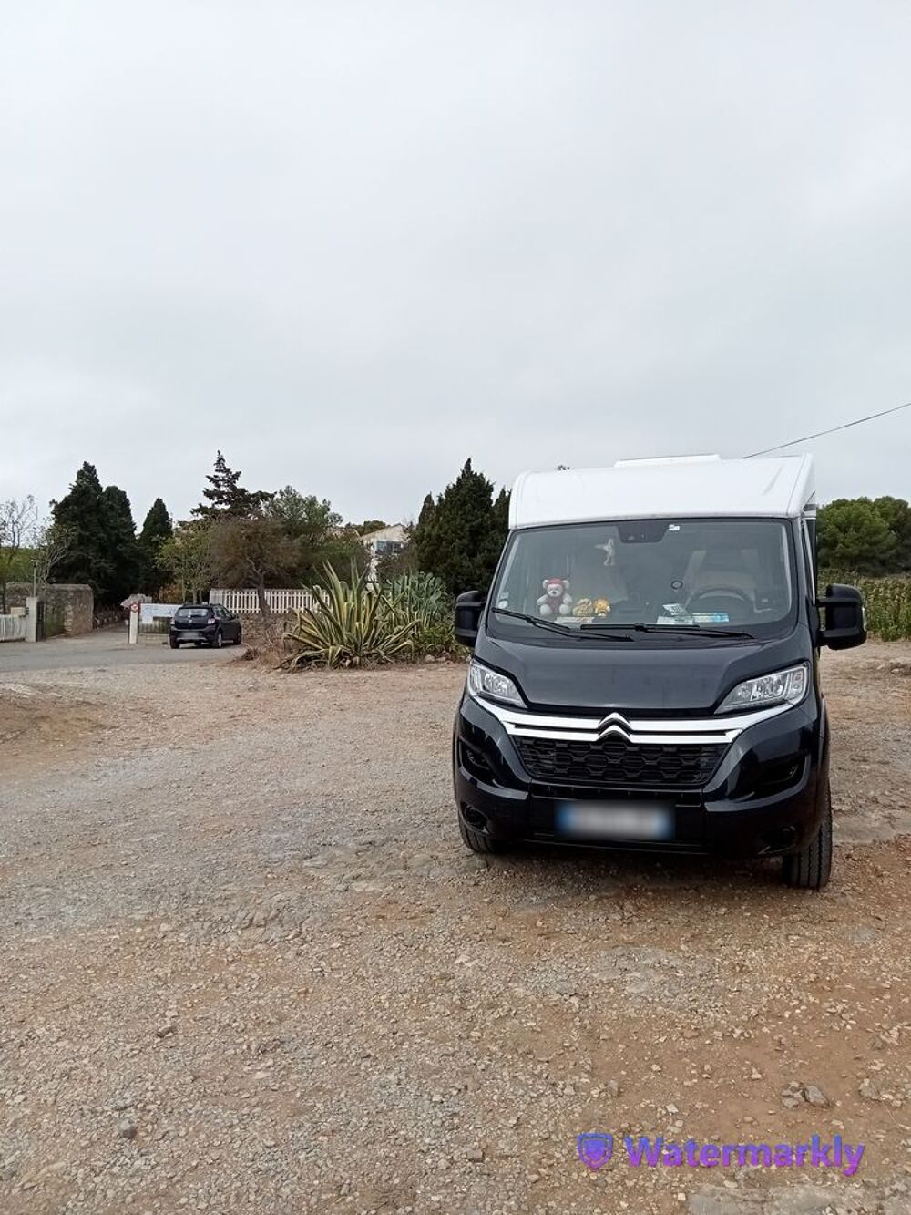  2021 occasion 29880 Plouguerneau