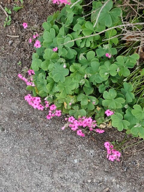 �change pc portable v�tements 80 Pornichet (44)