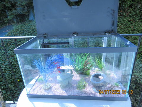 AQUARIUM 0 P�rigueux (24)