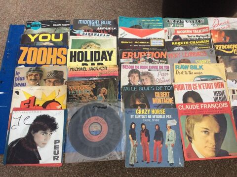 disques 45 T et 33 T - 0 Palaja (11)