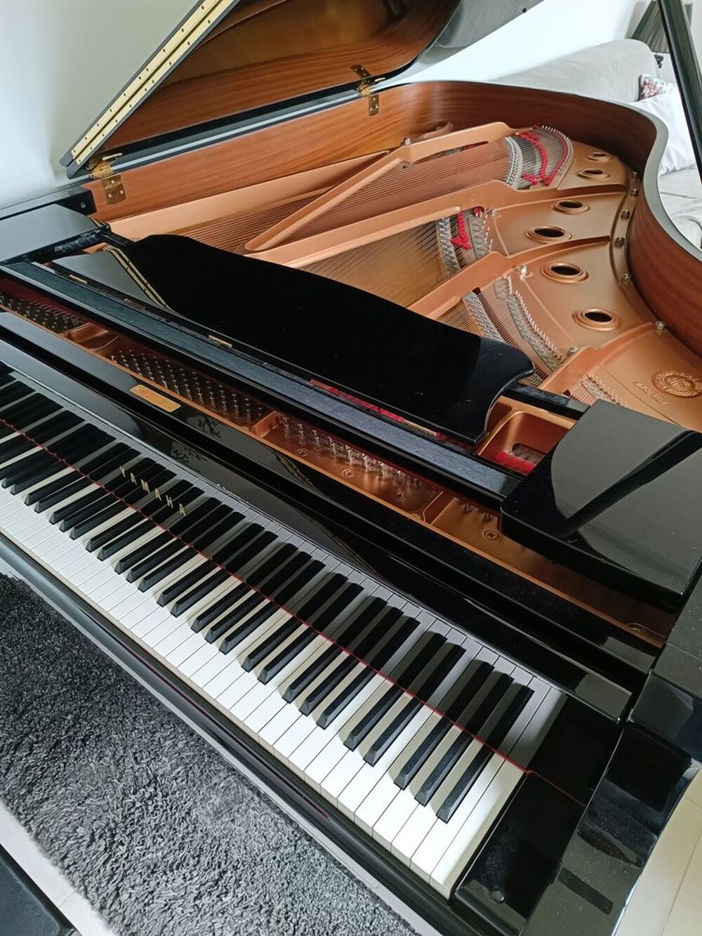 Yamaha C6 - 2006 - Piano &agrave; queue Instruments de musique