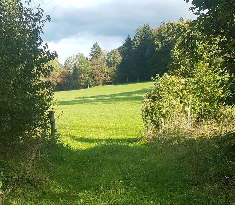 Vente Terrain Terrain agricole 4027m2 Viuz-en-sallaz