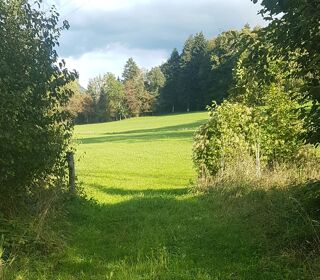  Terrain à vendre 4027 m² Viuz-en-sallaz