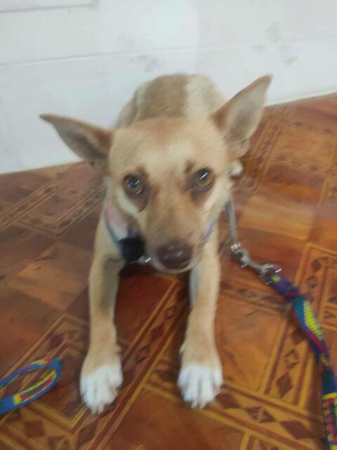 KATTIE 0 75018 Paris