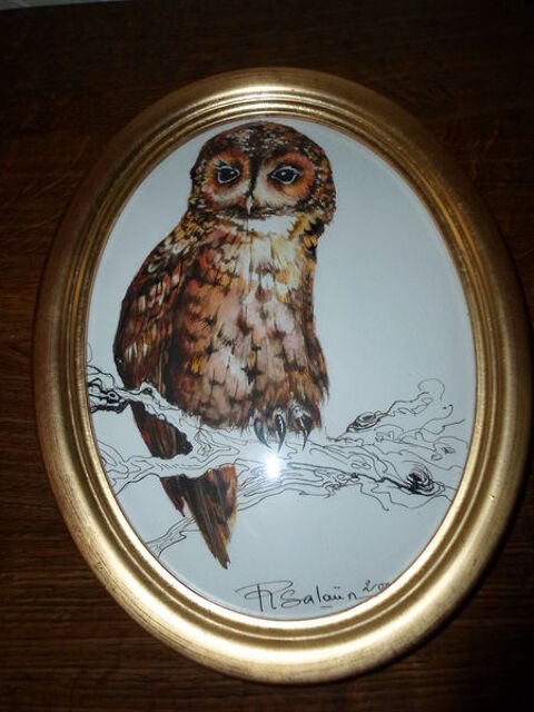 tableau vitre oval motif chouette 40 Am�lie-les-Bains-Palalda (66)